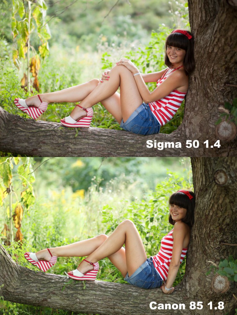 sigma 50 1.4 vs canon 85 1.8 sigma 50 1.4 vs canon 85 1.8
