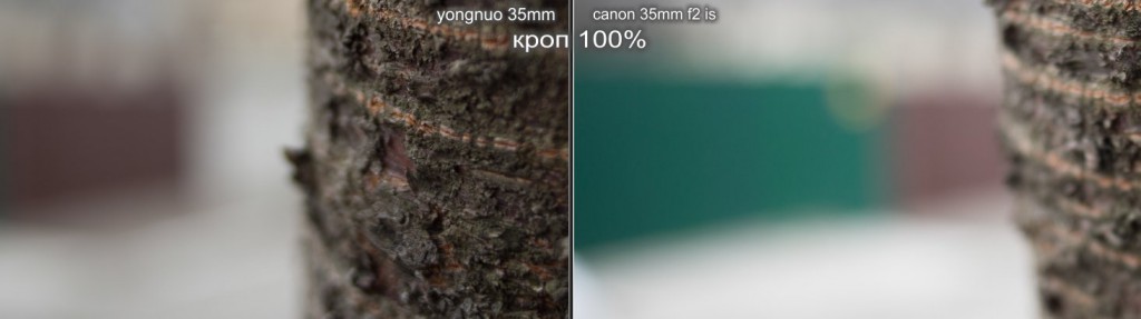 yongnuo 35mm bokeh yongnuo 35mm bokeh