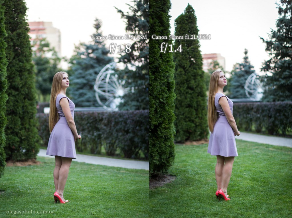 85mm f1.8 vs 50mm 1.2L