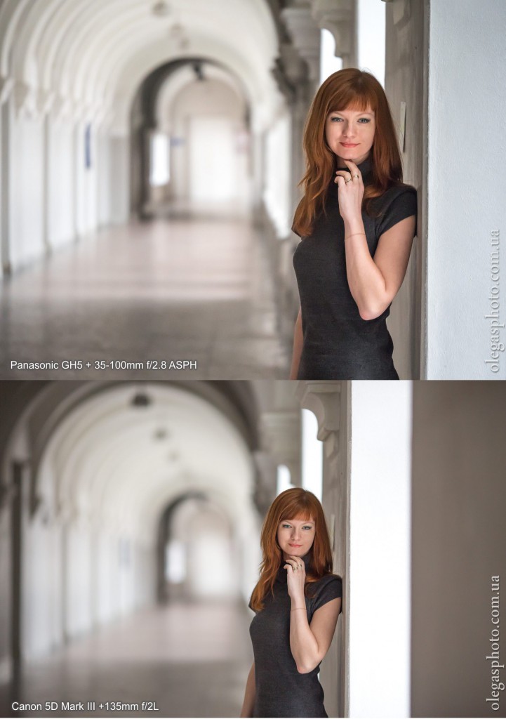 test gh5 vs canon 5d mk3