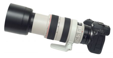 фCanon EF 70-300mm f4-5.6L IS USM canon r5