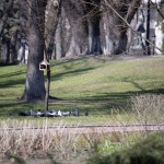 Tamron DI SP 70-300mm F4.5-6.3 VC USD II