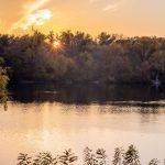 meike 85mm f1.8 примеры фото
