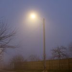 meike 50mm f1.2 photo sample