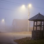 meike 50mm f1.2 photo sample