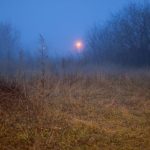 meike 50mm f1.2 photo sample