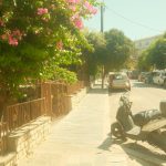 bright summer