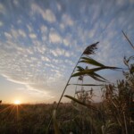 пример фото на 7artisans 9mm f5.6
