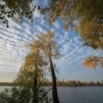 пример фото на 7artisans 9mm f5.6