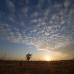 пример фото на 7artisans 9mm f5.6